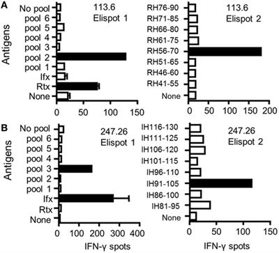 Characterization of CD4 T Cell Epitopes of Infliximab and Rituximab Identified from Healthy Donors